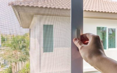 Kasa Nyamuk, Perlindungan yang Berkualitas Tinggi untuk Rumah Anda