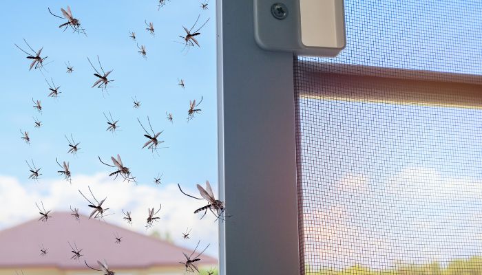 Tips Merawat Tirai Nyamuk untuk Memperpanjang Umur Penggunaan